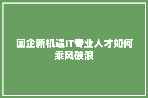 国企新机遇IT专业人才如何乘风破浪 英文谷歌算法