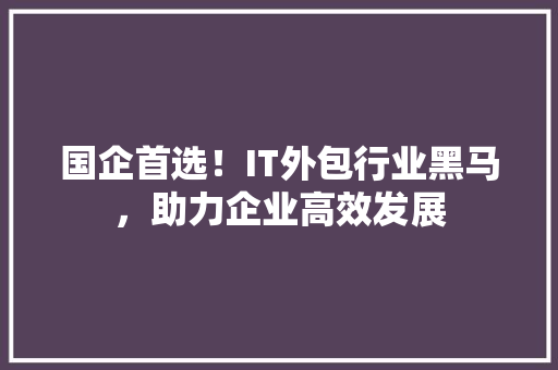 国企首选！IT外包行业黑马，助力企业高效发展
