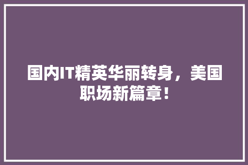 国内IT精英华丽转身，美国职场新篇章！