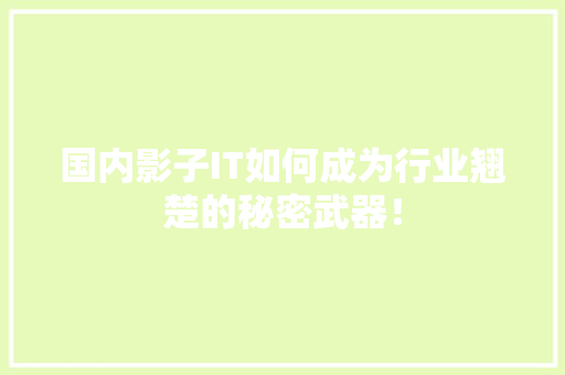 国内影子IT如何成为行业翘楚的秘密武器！ 英文谷歌算法