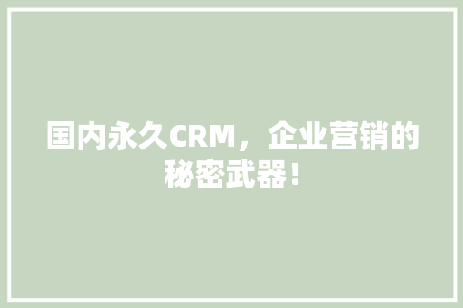 国内永久CRM，企业营销的秘密武器！ 网站优化