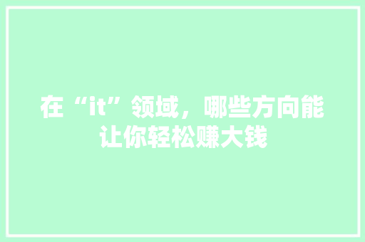 在“it”领域，哪些方向能让你轻松赚大钱 小程序开发