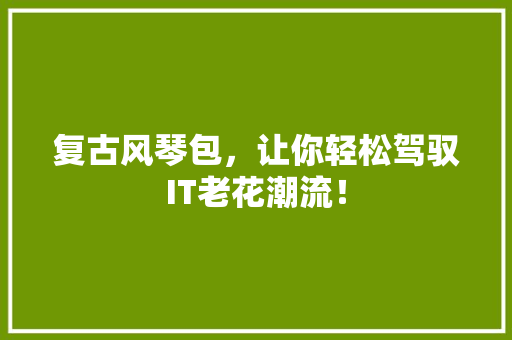 复古风琴包，让你轻松驾驭IT老花潮流！