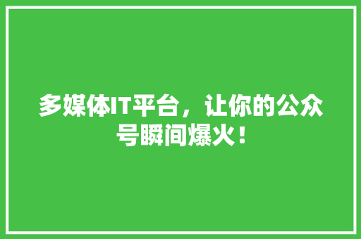 多媒体IT平台，让你的公众号瞬间爆火！ 网站优化