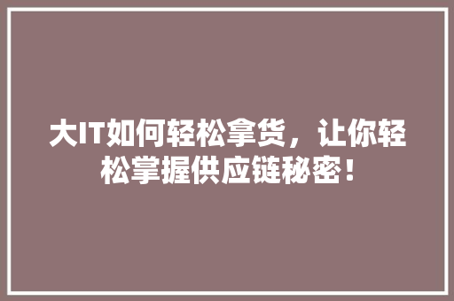 大IT如何轻松拿货，让你轻松掌握供应链秘密！