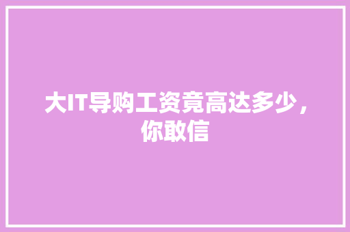 大IT导购工资竟高达多少，你敢信 百度算法