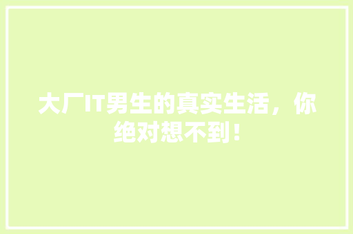 大厂IT男生的真实生活，你绝对想不到！