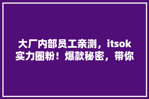 大厂内部员工亲测，itsok实力圈粉！爆款秘密，带你走进完美办公新体验！