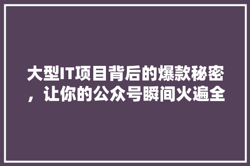 大型IT项目背后的爆款秘密，让你的公众号瞬间火遍全网！