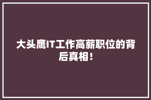 大头鹰IT工作高薪职位的背后真相！