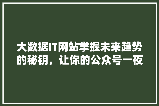 大数据IT网站掌握未来趋势的秘钥，让你的公众号一夜爆红！ 360搜优化