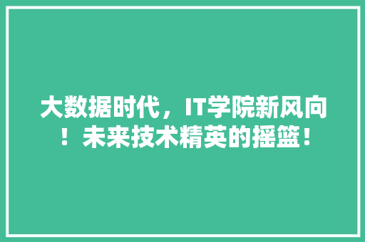 大数据时代，IT学院新风向！未来技术精英的摇篮！
