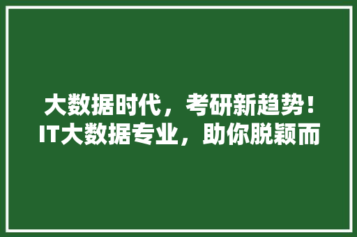 大数据时代，考研新趋势！IT大数据专业，助你脱颖而出 英文谷歌算法