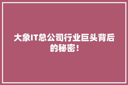 大象IT总公司行业巨头背后的秘密！ 百度算法
