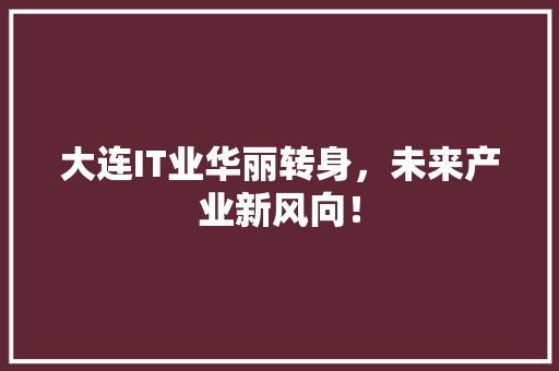 大连IT业华丽转身，未来产业新风向！