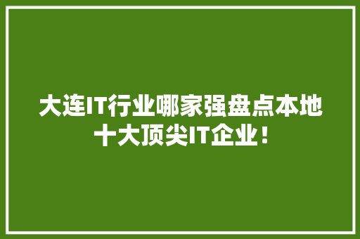 大连IT行业哪家强盘点本地十大顶尖IT企业！ 英文谷歌算法