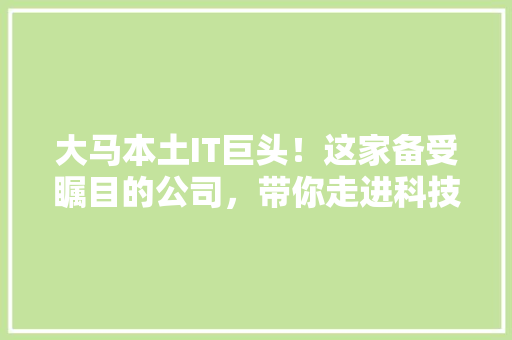 大马本土IT巨头！这家备受瞩目的公司，带你走进科技前沿！ seo技术