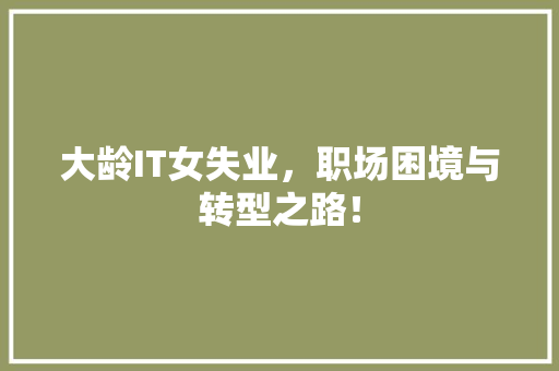 大龄IT女失业，职场困境与转型之路！ 搜狗优化