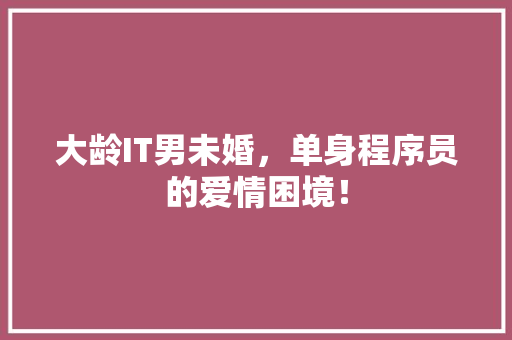 大龄IT男未婚，单身程序员的爱情困境！