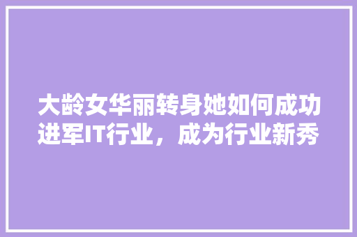 大龄女华丽转身她如何成功进军IT行业，成为行业新秀！ 百度算法