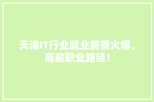 天津IT行业就业前景火爆，高薪职业路径！ 网站优化