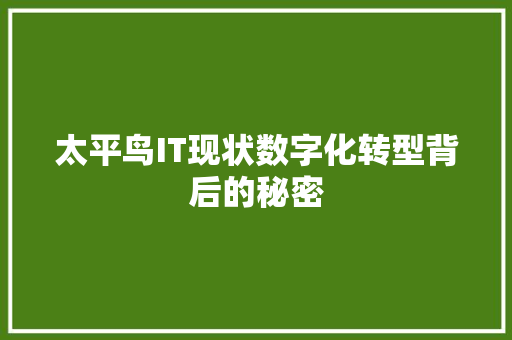 太平鸟IT现状数字化转型背后的秘密