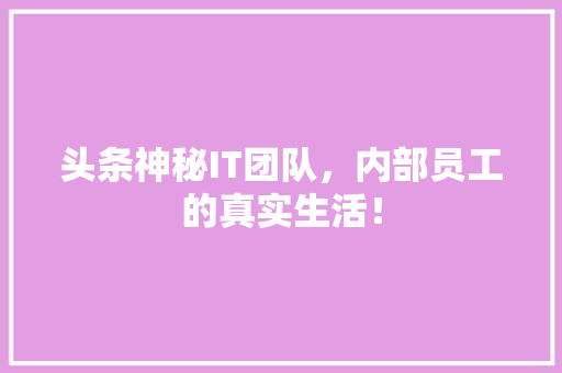 头条神秘IT团队，内部员工的真实生活！