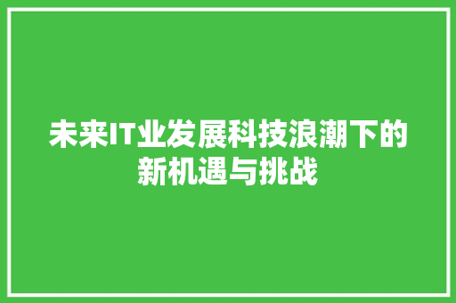 未来IT业发展科技浪潮下的新机遇与挑战