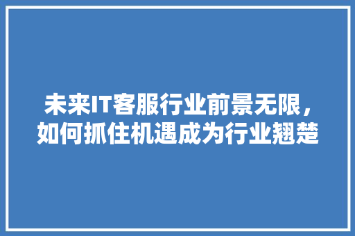 未来IT客服行业前景无限，如何抓住机遇成为行业翘楚