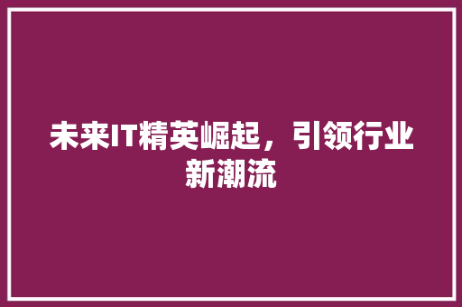 未来IT精英崛起，引领行业新潮流 头条优化