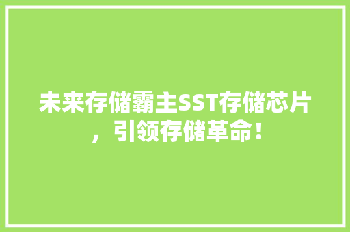 未来存储霸主SST存储芯片，引领存储革命！