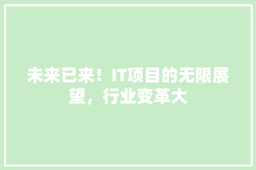 未来已来！IT项目的无限展望，行业变革大