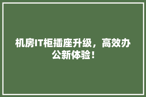 机房IT柜插座升级，高效办公新体验！