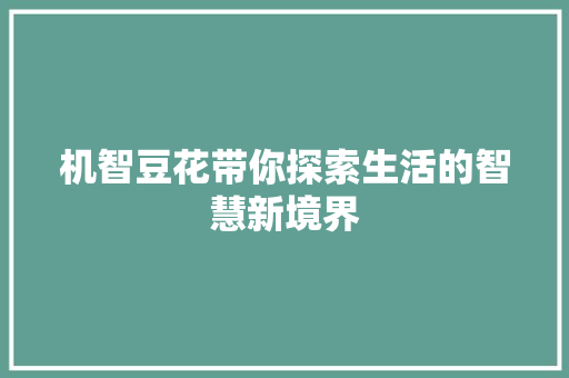 机智豆花带你探索生活的智慧新境界 seo技术