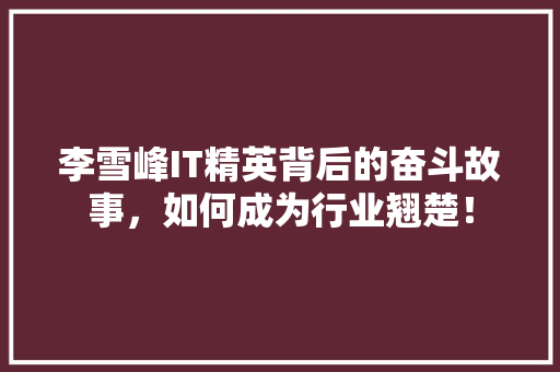 李雪峰IT精英背后的奋斗故事，如何成为行业翘楚！