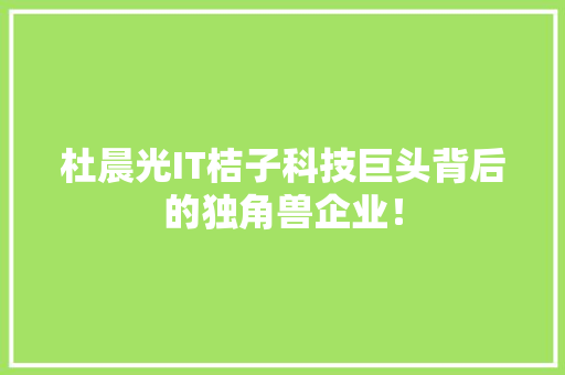 杜晨光IT桔子科技巨头背后的独角兽企业！ AI技术学习