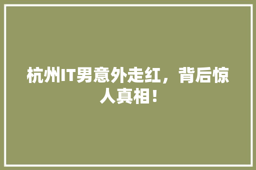 杭州IT男意外走红，背后惊人真相！