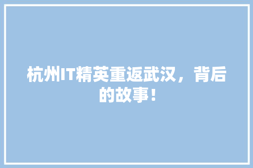 杭州IT精英重返武汉，背后的故事！