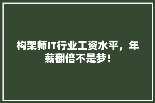 构架师IT行业工资水平，年薪翻倍不是梦！ 360搜优化