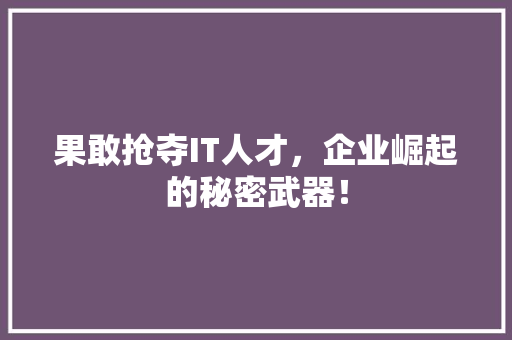 果敢抢夺IT人才，企业崛起的秘密武器！