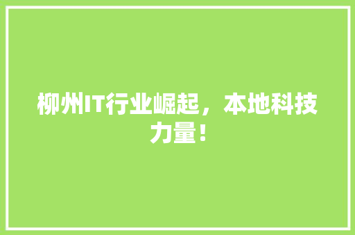 柳州IT行业崛起，本地科技力量！