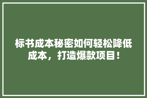 标书成本秘密如何轻松降低成本，打造爆款项目！ 360搜优化