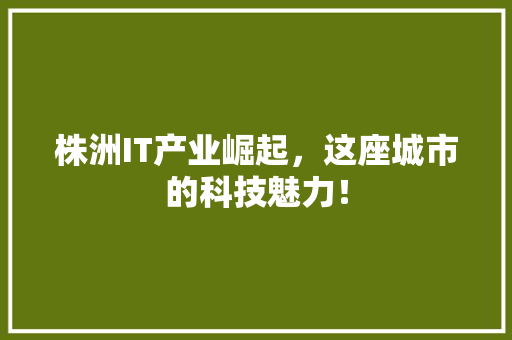 株洲IT产业崛起，这座城市的科技魅力！