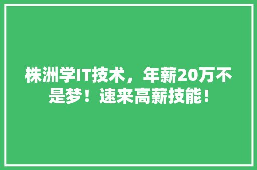 株洲学IT技术，年薪20万不是梦！速来高薪技能！ 网站优化