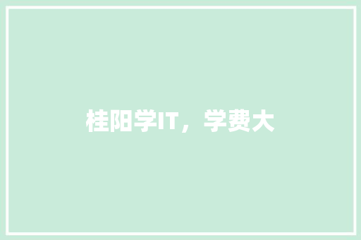桂阳学IT，学费大 头条优化