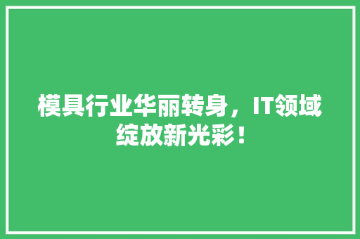 模具行业华丽转身，IT领域绽放新光彩！