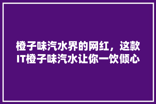 橙子味汽水界的网红，这款IT橙子味汽水让你一饮倾心！ AI技术学习