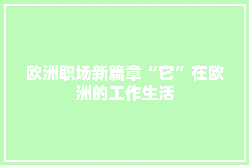 欧洲职场新篇章“它”在欧洲的工作生活 网站优化