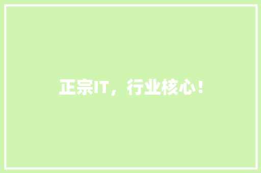 正宗IT，行业核心！