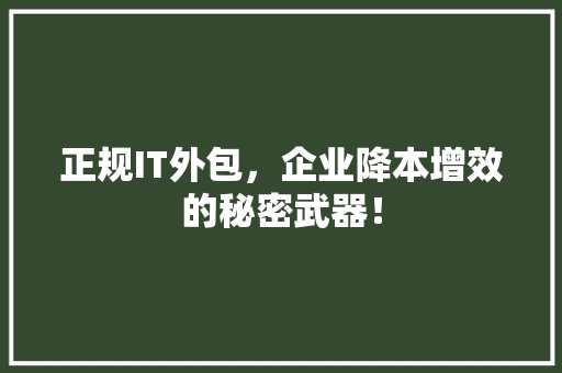 正规IT外包，企业降本增效的秘密武器！
